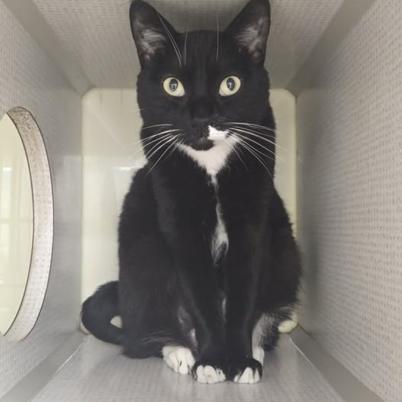 492209154_122099899208844236_9085081950460633893_n