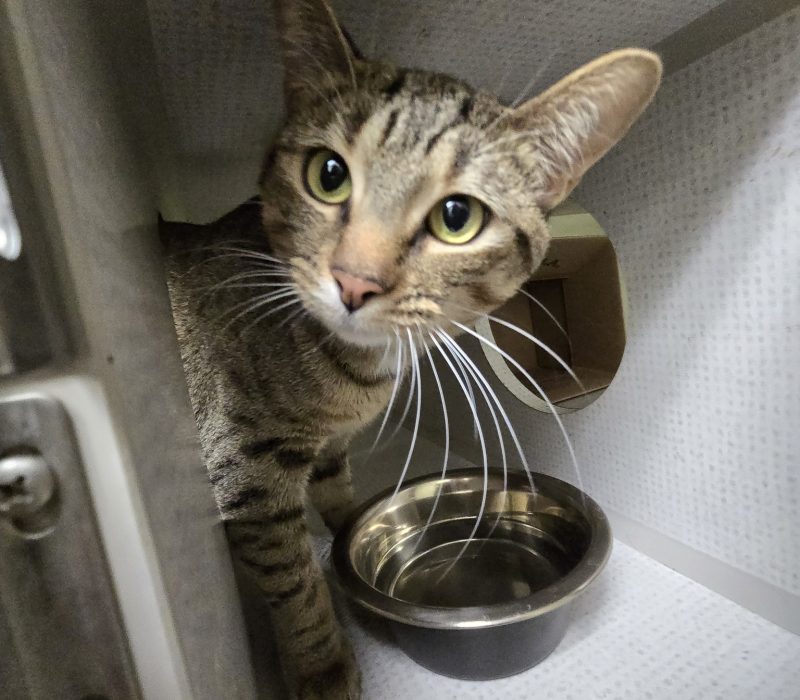 522636046_122127958388844236_1552513548887054483_n